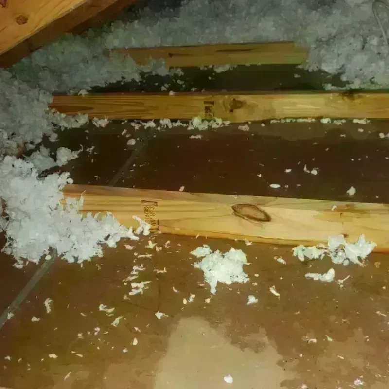 Attic Water Damage in Narrows, VA