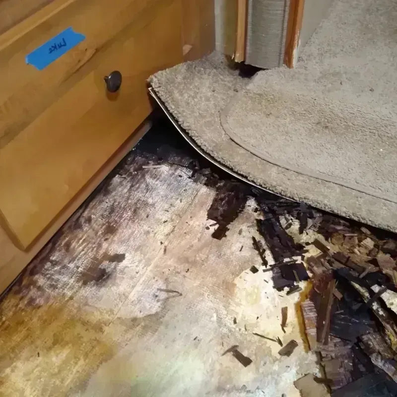 Wood Floor Water Damage in Narrows, VA